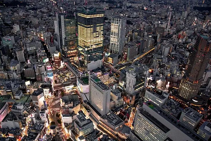 25 - Min Downtown Helicopter Tour : Tokyo Skytree e Tokyo Tower — 4