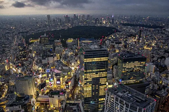 25 - Min Downtown Helicopter Tour : Tokyo Skytree e Tokyo Tower — 5