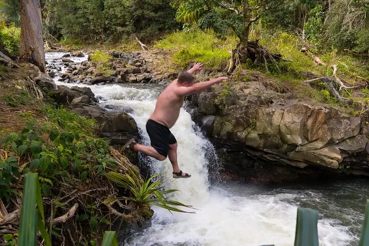 Small Group Waterfall and Rainforest Hiking Adventure on Maui — 2