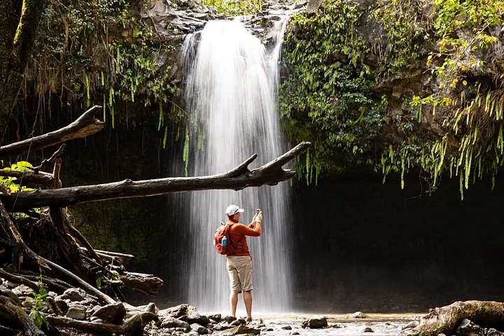 Small Group Waterfall and Rainforest Hiking Adventure on Maui — 3
