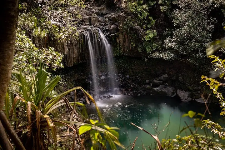 Small Group Waterfall and Rainforest Hiking Adventure on Maui — 5