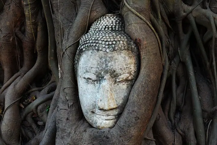 Private Excursion to Ayutthaya, UNESCO World Heritage site with Boat Tour — 2