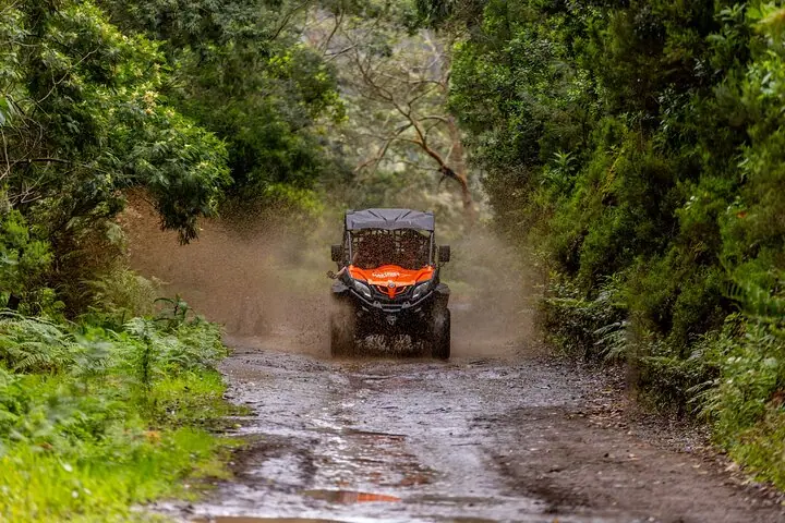 Madeira'da Arazi Şartlarında Buggy Macerası — 2