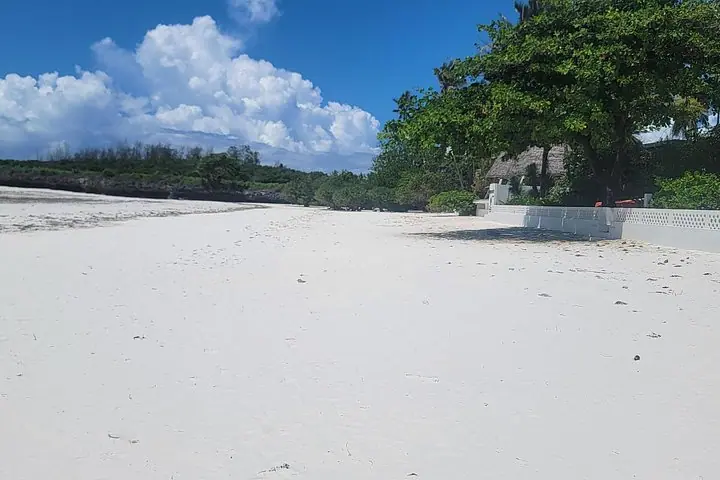 Restaurantes em Jozani Forest Kuza Cave Paje Beach and the Rock — 5