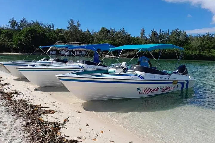 ：5岛快艇一日游含鹿岛（Ile Aux Cerfs）烧烤午餐