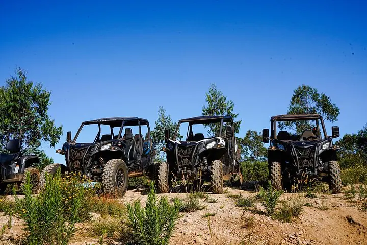 Madeira: Can-Am -Adrenalin — 5