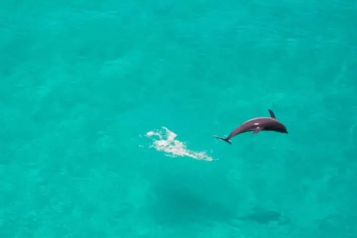 Zanzibar Full Day Private Tour with Sunset Beach & Seafood BBQ