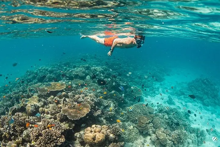 Sansibar Ganztägige private Tour mit Sunset Beach & Meeresfrüchte-Grill — 4