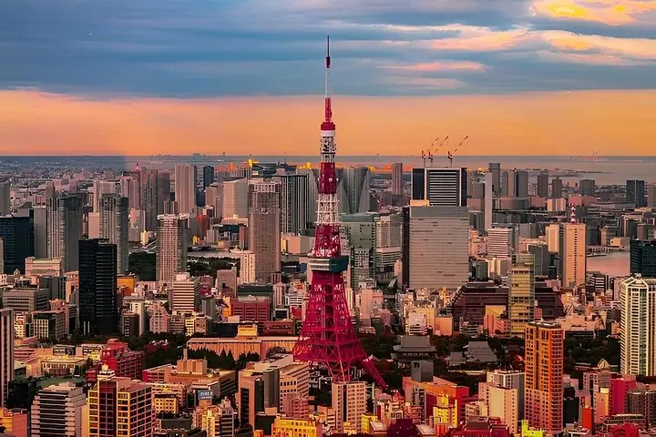 Private und individuell anpassbare Tokio-Tour mit Englisch sprechendem Fahrer