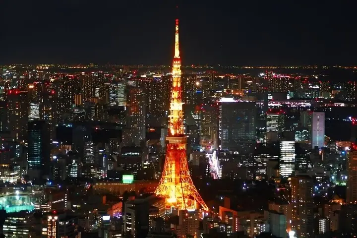 Private und individuell anpassbare Tokio-Tour mit Englisch sprechendem Fahrer — 2