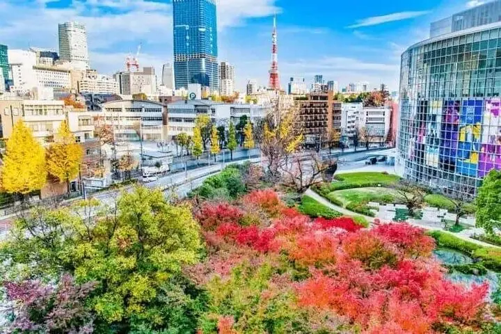 Private und individuell anpassbare Tokio-Tour mit Englisch sprechendem Fahrer — 3