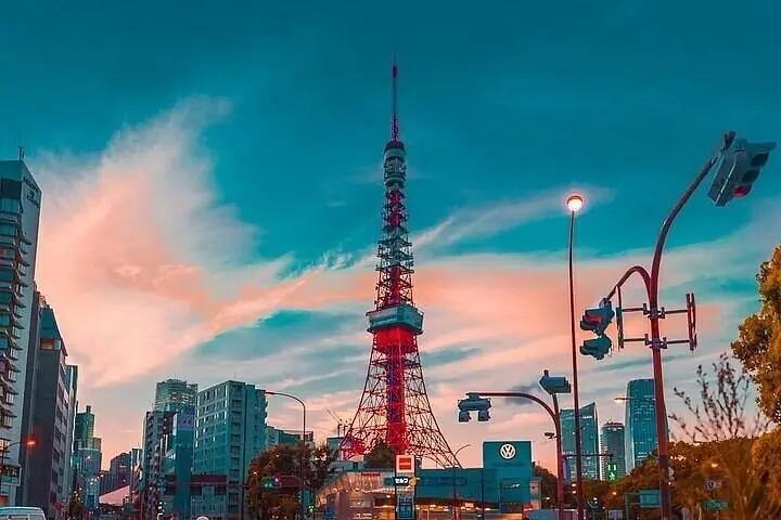 Private und individuell anpassbare Tokio-Tour mit Englisch sprechendem Fahrer — 4