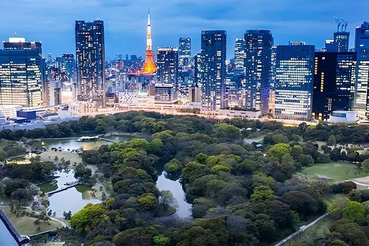 Private und individuell anpassbare Tokio-Tour mit Englisch sprechendem Fahrer — 5