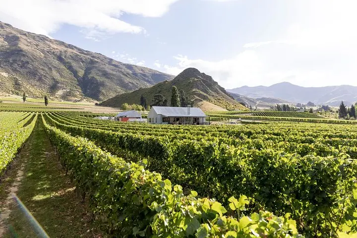 Award Winning Premium Wine Tour Queenstown Tasting at 4 Wineries