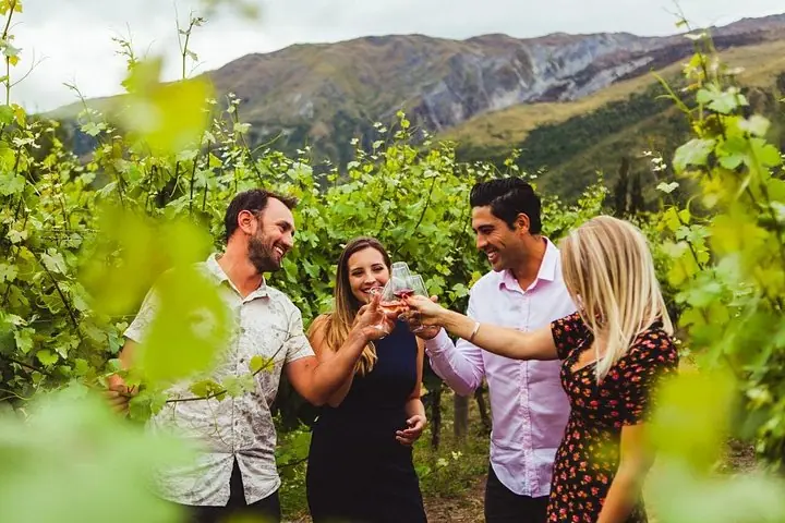 Premiado Premium Wine Tour Queenstown Degustação em 4 Vinícolas — 2