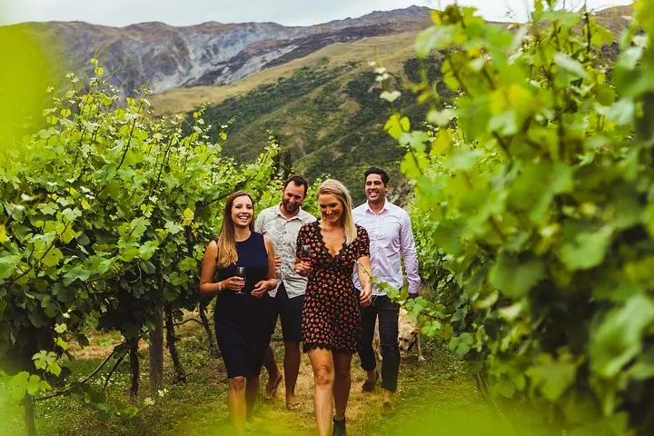 Premiado Premium Wine Tour Queenstown Degustação em 4 Vinícolas — 5