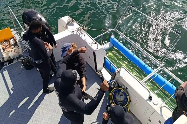 Shark Cage Diving with Scuba in Cape Town