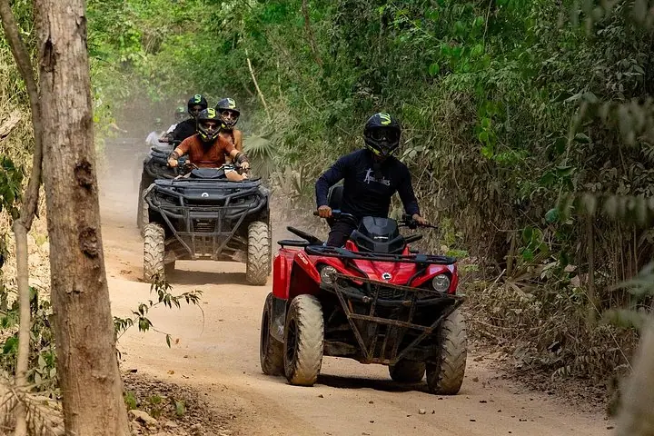Cenote escondido e aventura na selva de quadriciclo com transporte