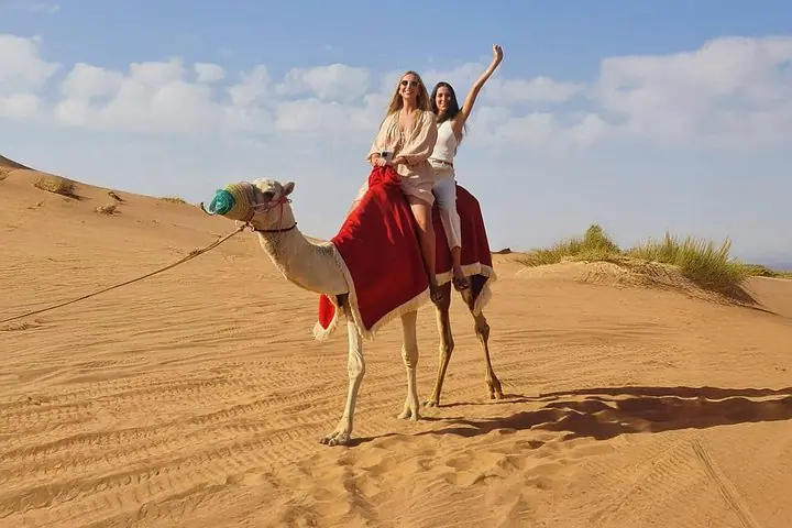 Dubai Abend-Safari: 30-Min Can-Am Buggy, Abendessen & Shows — 2