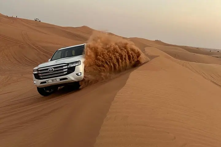 Dubai Abend-Safari: 30-Min Can-Am Buggy, Abendessen & Shows — 5