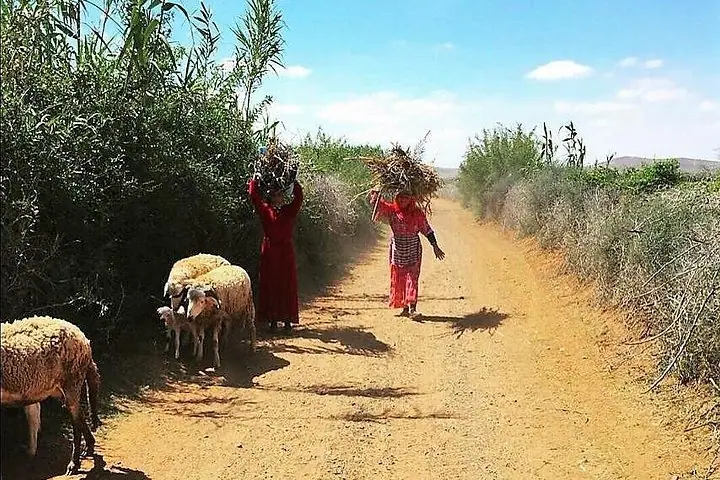 Marrakech Desert Buggy Tour com Berber Tea Break e Transfer — 5
