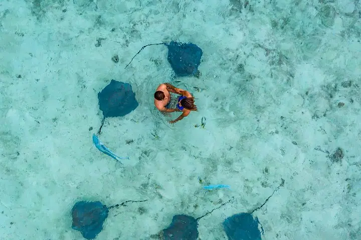 波拉波拉生态浮潜游轮包括与鲨鱼和黄貂鱼一起浮潜 — 3