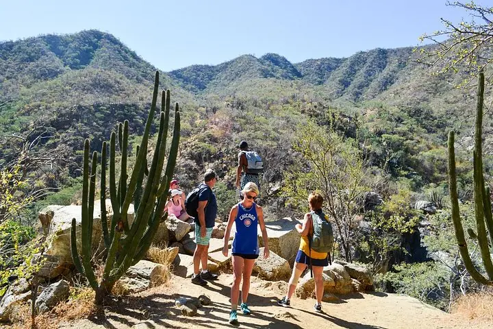 Los Cabos: Wandern am Fox Canyon mit Wasserfall — 3