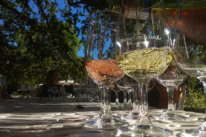 Cape Town : Stellenbosch & Franschhoek +Tastings & Lunch — 2