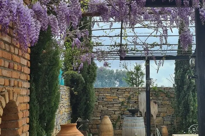 Speisen und Wein Abendessen im Bodrum — 3