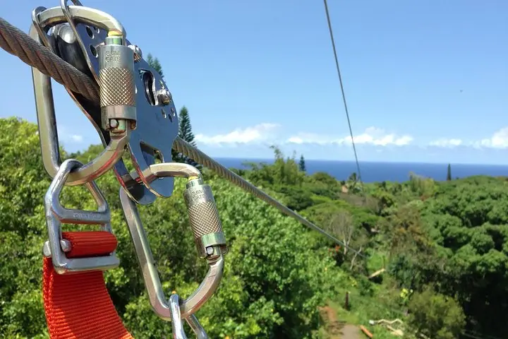 Maui Eco Adventure: Jungle bo'ylab 8 chiziq