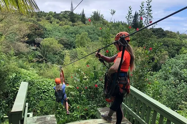 Maui Eco Adventure: 8 líneas a través de la jungla — 3