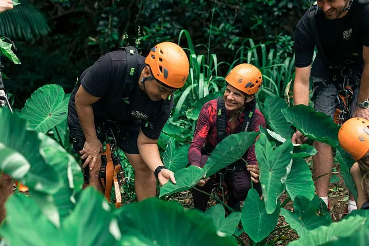 Maui Eco Adventure: 8 líneas a través de la jungla — 4