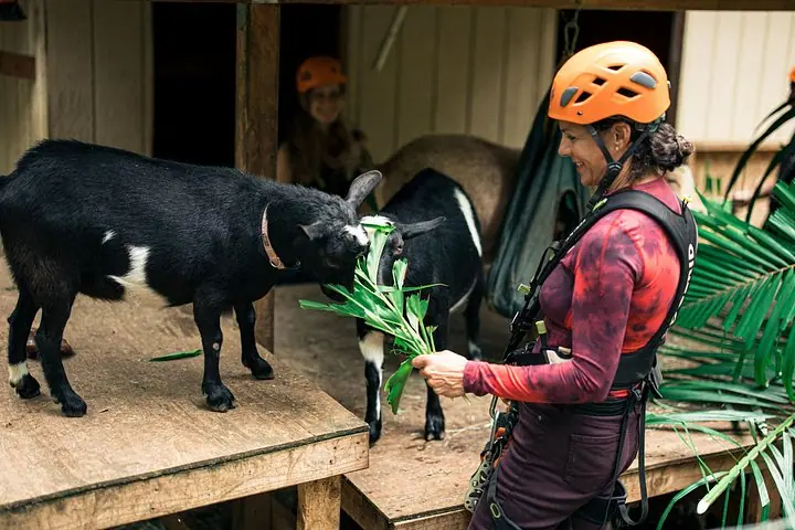 Maui Eco Adventure: 8 líneas a través de la jungla — 5