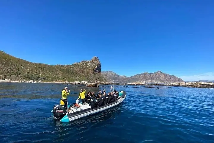 Ocean Wildlife Safari with Snorkelling — 2