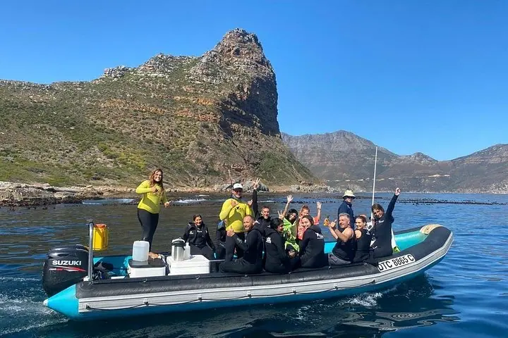 Ocean Wildlife Safari with Snorkelling — 3